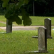 Screenshot of a cemetery in Union Springs, Ala.
WFSA